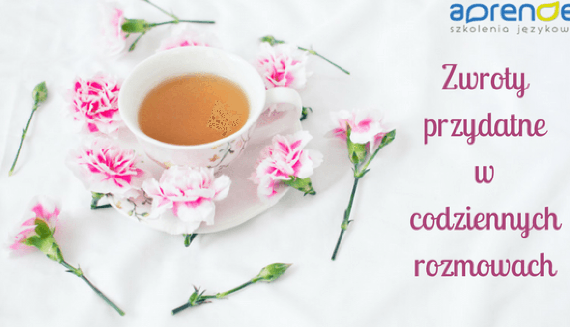 Zwroty przydatne w codziennych rozmowach Zwroty przydatne w codziennych rozmowach